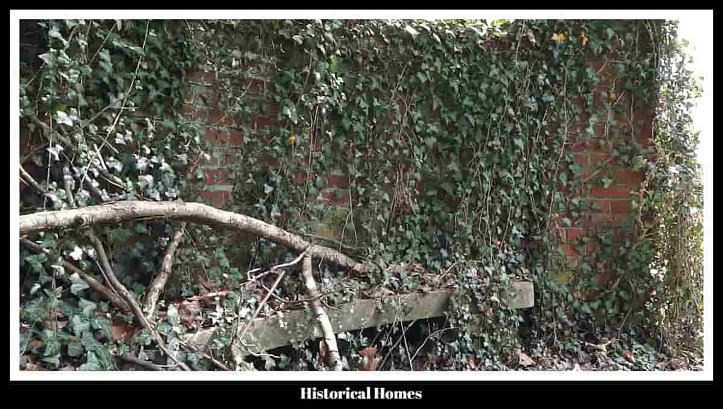 Historical Homes